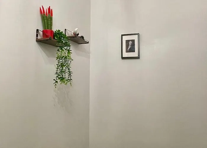 Apartment San Gennaro Sanita, In *